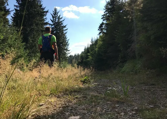 Germina 아파트 오버호프