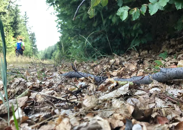 Germina 오버호프